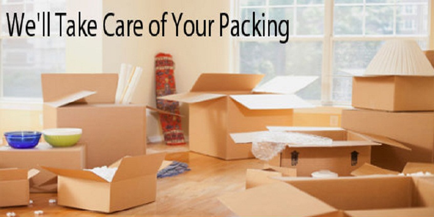 packing and moving Services Delhi